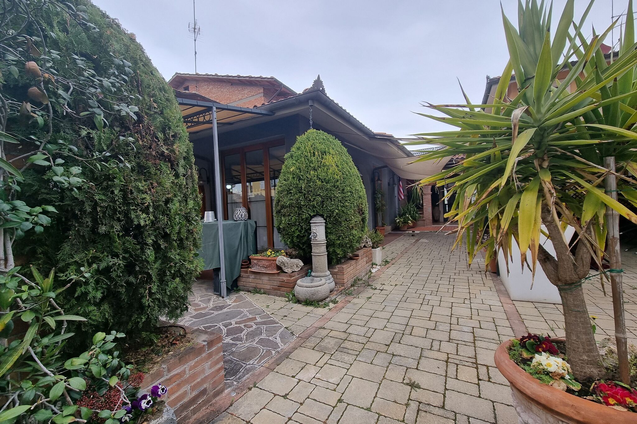 Un patio empedrado con un sendero de piedra, un seto bien recortado y una pequeña palmera.