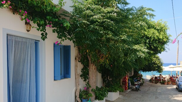 Une rue étroite bordée d’un immeuble dont les volets sont bleus et la porte, blanche. On y voit des plantes en pot et un arbre aux feuilles vertes.