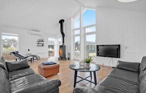 Fernseher, Kamin
