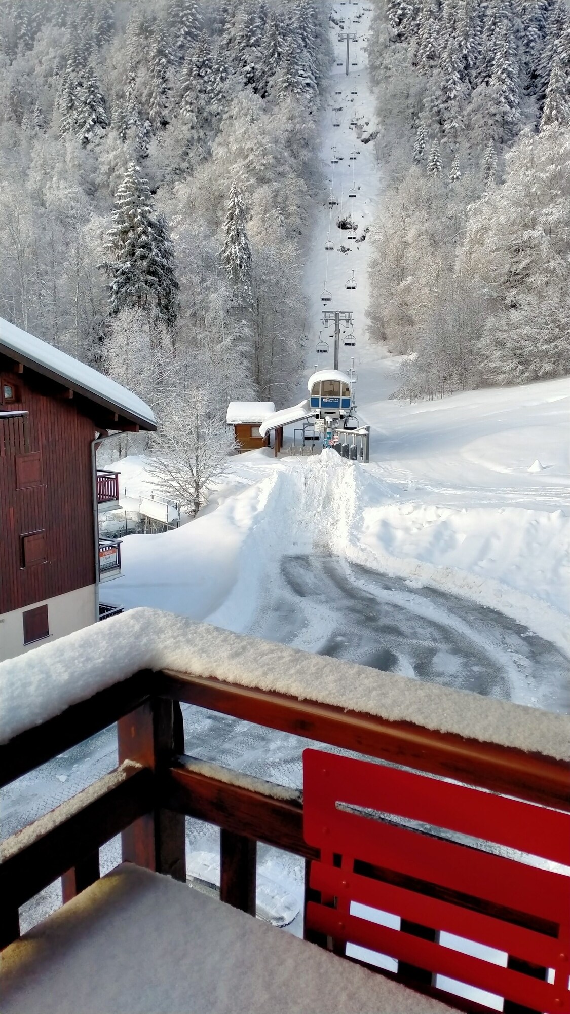 Värdens profilbild