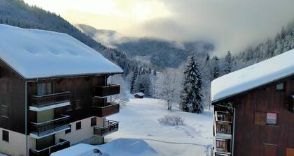 Pleasant studio for 4 people, family ski resort Bellevaux Hirmentaz.