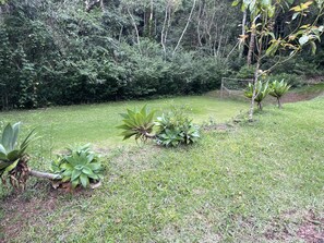 Property grounds - houses in the mountains (Petrópolis)