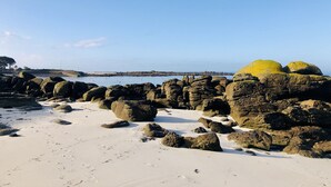 Ein felsiger Strand mit großen Steinen und einem klaren Himmel.