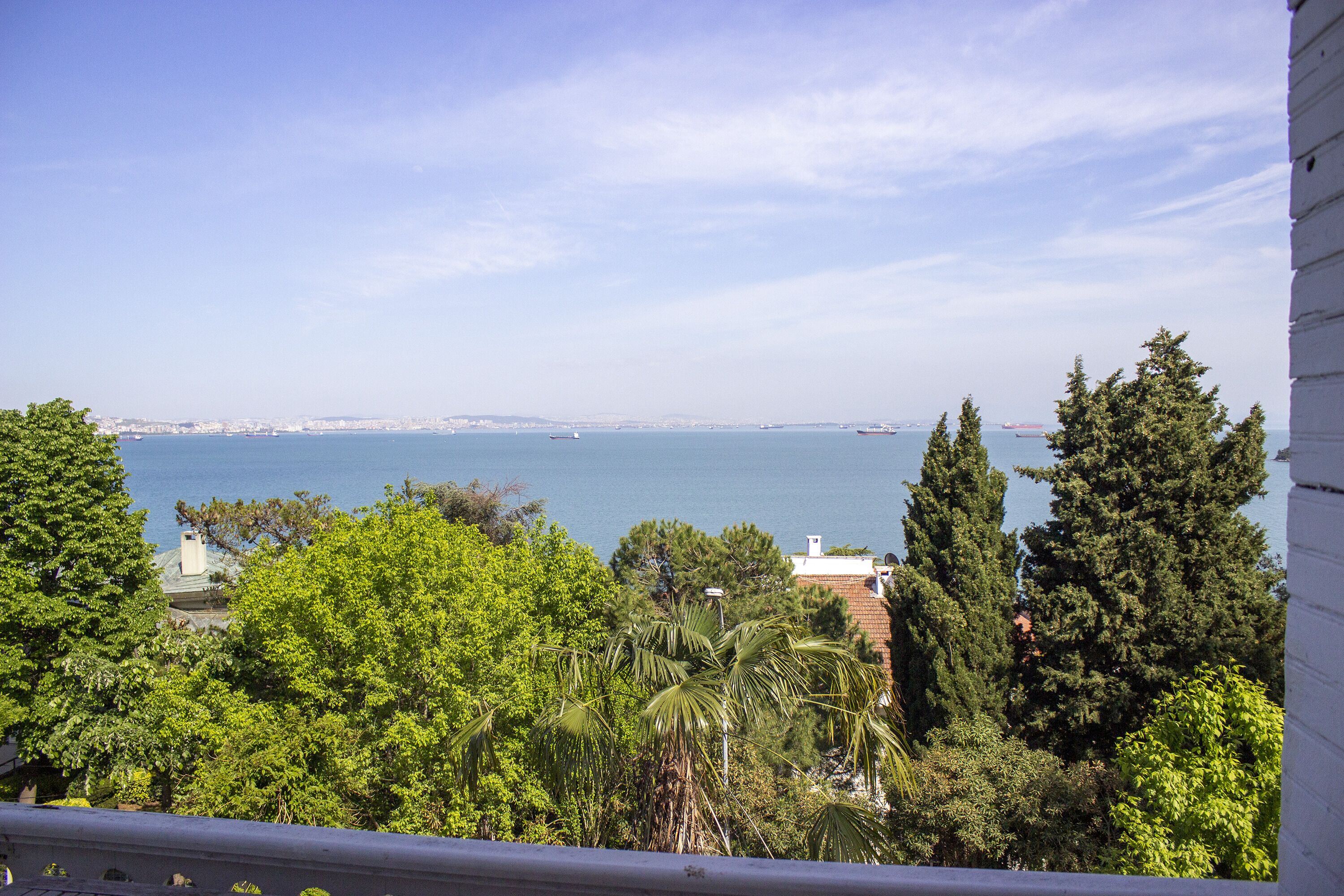 A coastal view with a clear sky, dense greenery, and a distant cityscape.