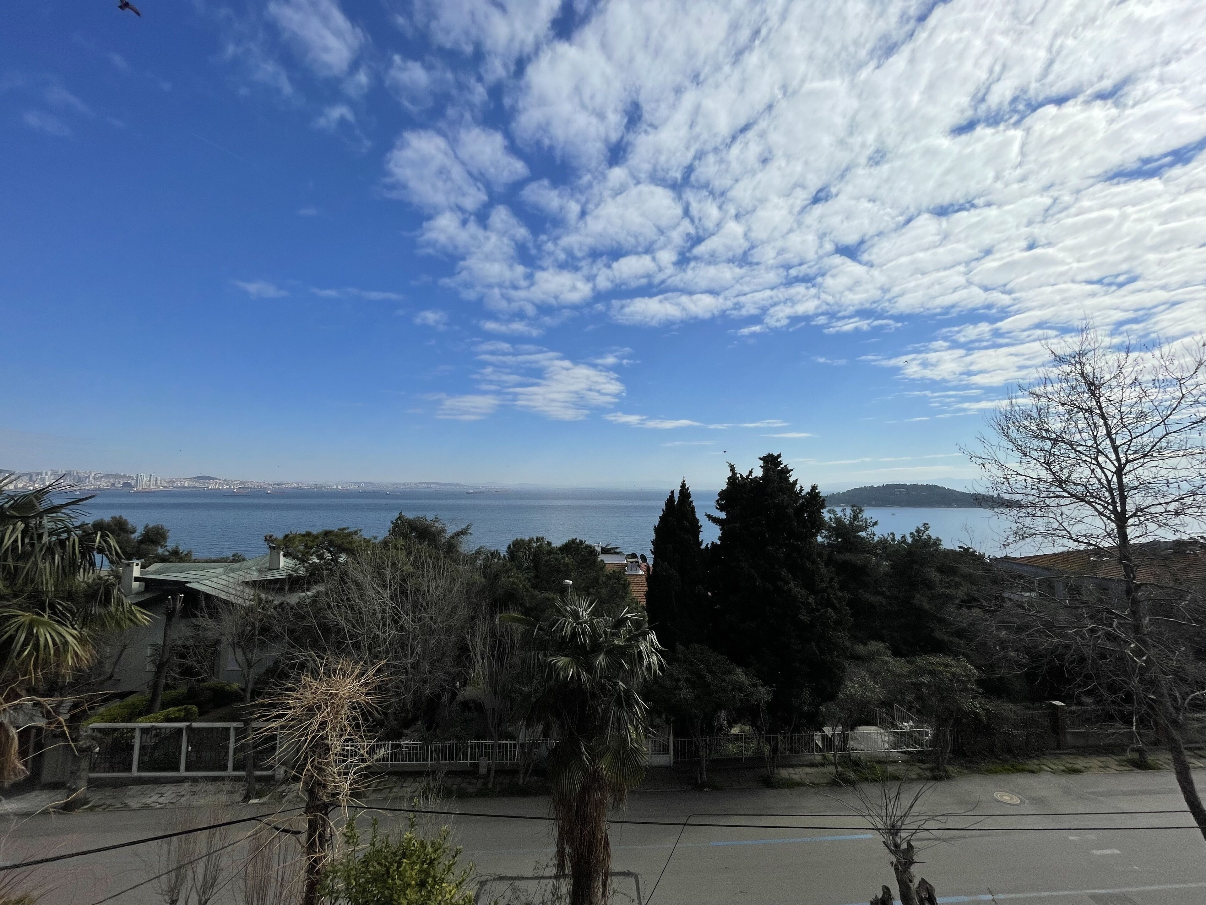 A coastal view with a clear sky, a body of water, and a distant cityscape.
