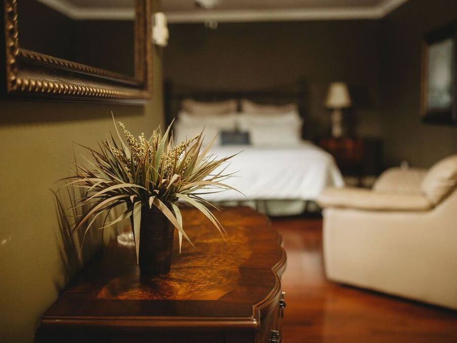 Un dormitorio con una cama, una mesita de noche con una planta y una mesita de cabecera con una lámpara.
