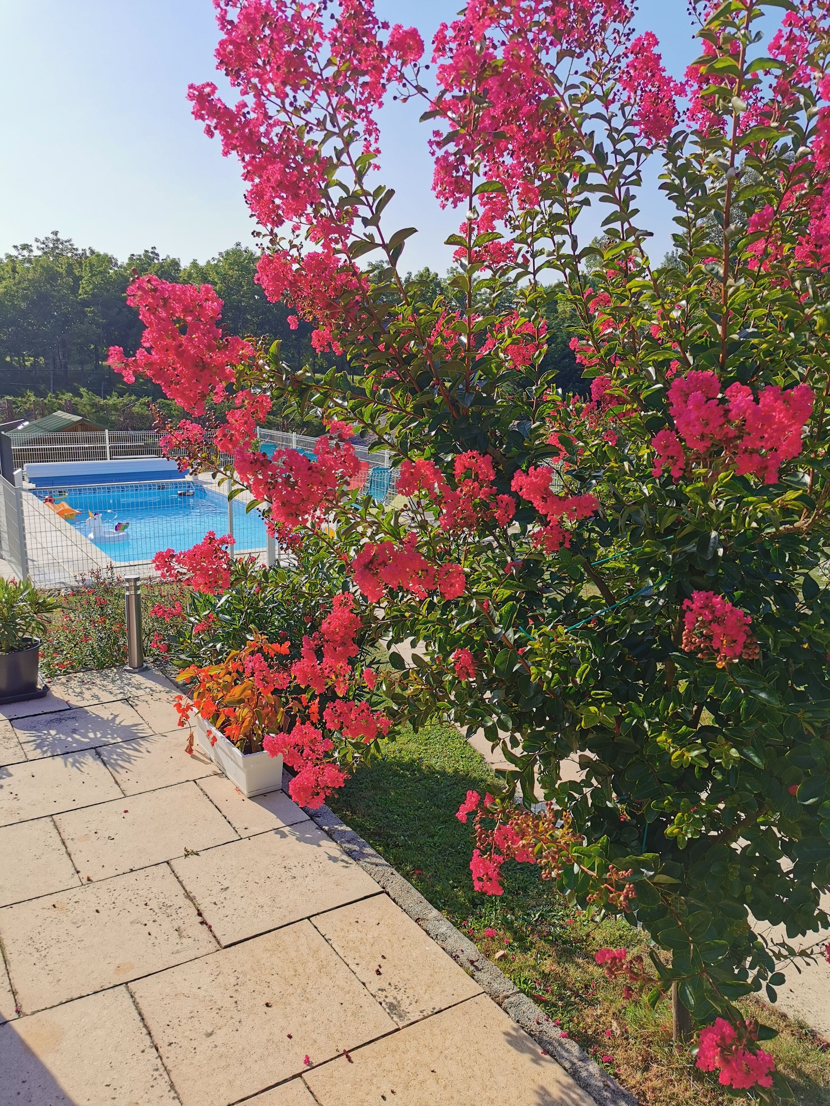Gite all comforts, completely one level, heated swimming pool, large garden.