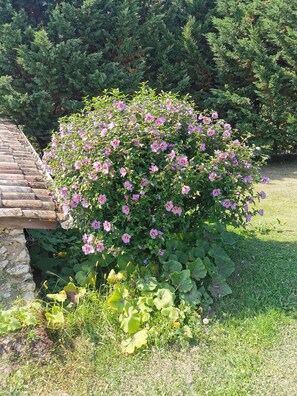 Enceinte de lâhĂ©bergement