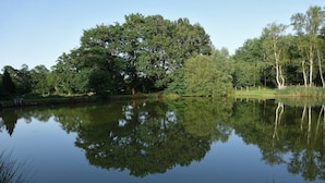 Un lago tranquilo con árboles densos reflejándose en la superficie del agua.