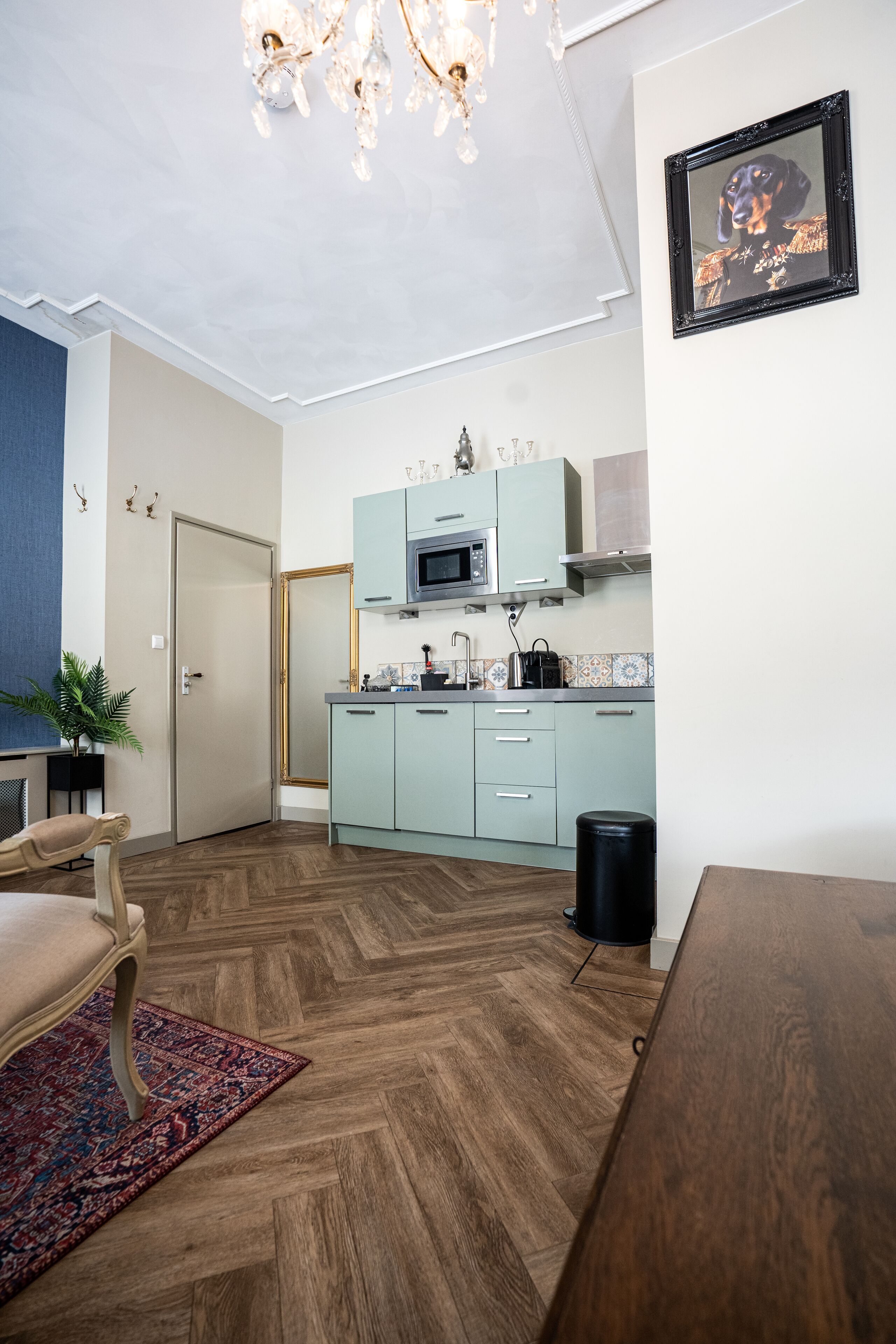 Deluxe studio suite | Privékeuken | Een koelkast, een magnetron, een kookplaat, kookgerei, borden en bestek