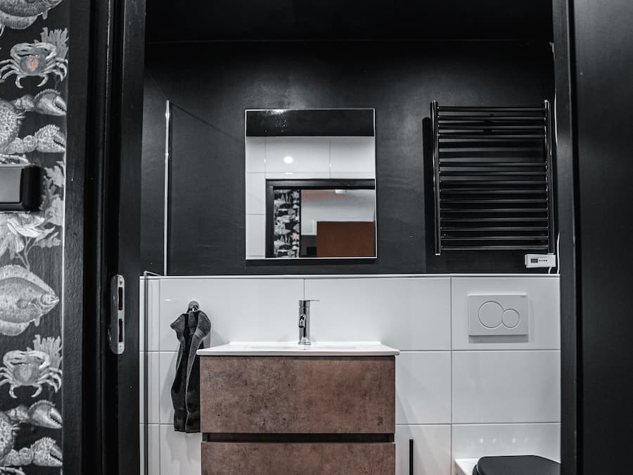 Deluxe Studio Suite | Bathroom | Shower, free toiletries, hair dryer, towels