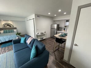 Living area - Modern cozy studio in the med center (Houston)