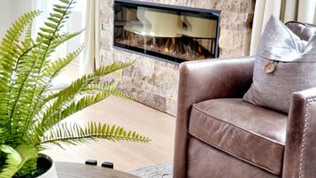 Télévision, cheminée