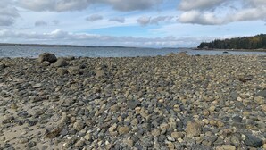 A rocky shoreline with a view of the water and distant trees. - Cozy, ocean-side retreat (Sedgwick)