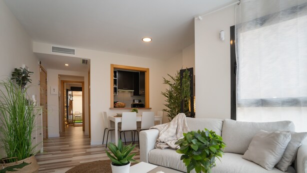 A modern living room with a sofa, coffee table, and potted plants.