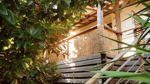 A wooden staircase with a bamboo wall and green foliage in the foreground. - A little corner of paradise (Les Trois-Îlets)