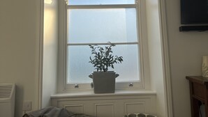 Une pièce dotée d’une grande fenêtre en arc de cercle, d’une plante en pot posée sur le rebord de la fenêtre, d’un téléviseur accroché au mur et d’un canapé agrémenté d’un coussin à motifs.