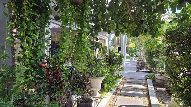 A narrow pathway flanked by potted plants and a row of houses. - Barefoot Mailman Inn & Suites (Lantana)