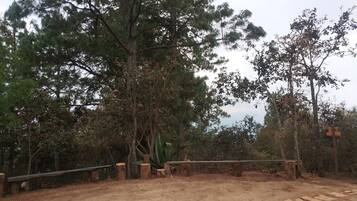 Àrea exterior de l'allotjament