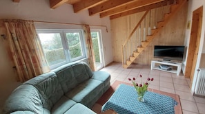 Smart TV, DVD player, books, video library
