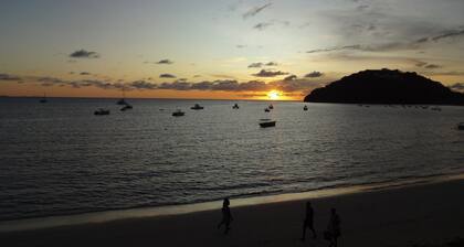 Spacious, well-lit tropical studio