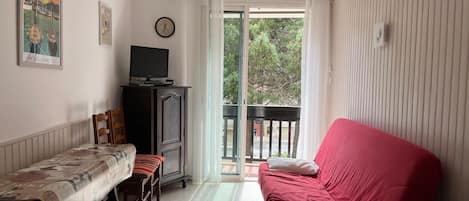 TV, DVD player, books