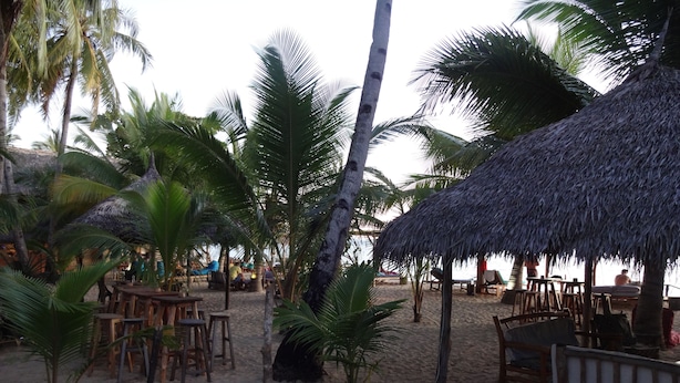 A beachside area with thatched umbrellas, wooden chairs, and palm trees.