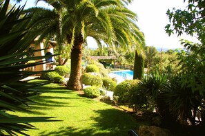 Un jardin luxuriant avec une piscine, des palmiers et des pelouses bien entretenues.