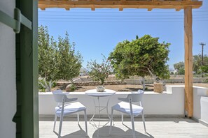 Estudio básico, para no fumadores, vista al jardín | Caja de seguridad en la habitación y tabla de planchar con plancha