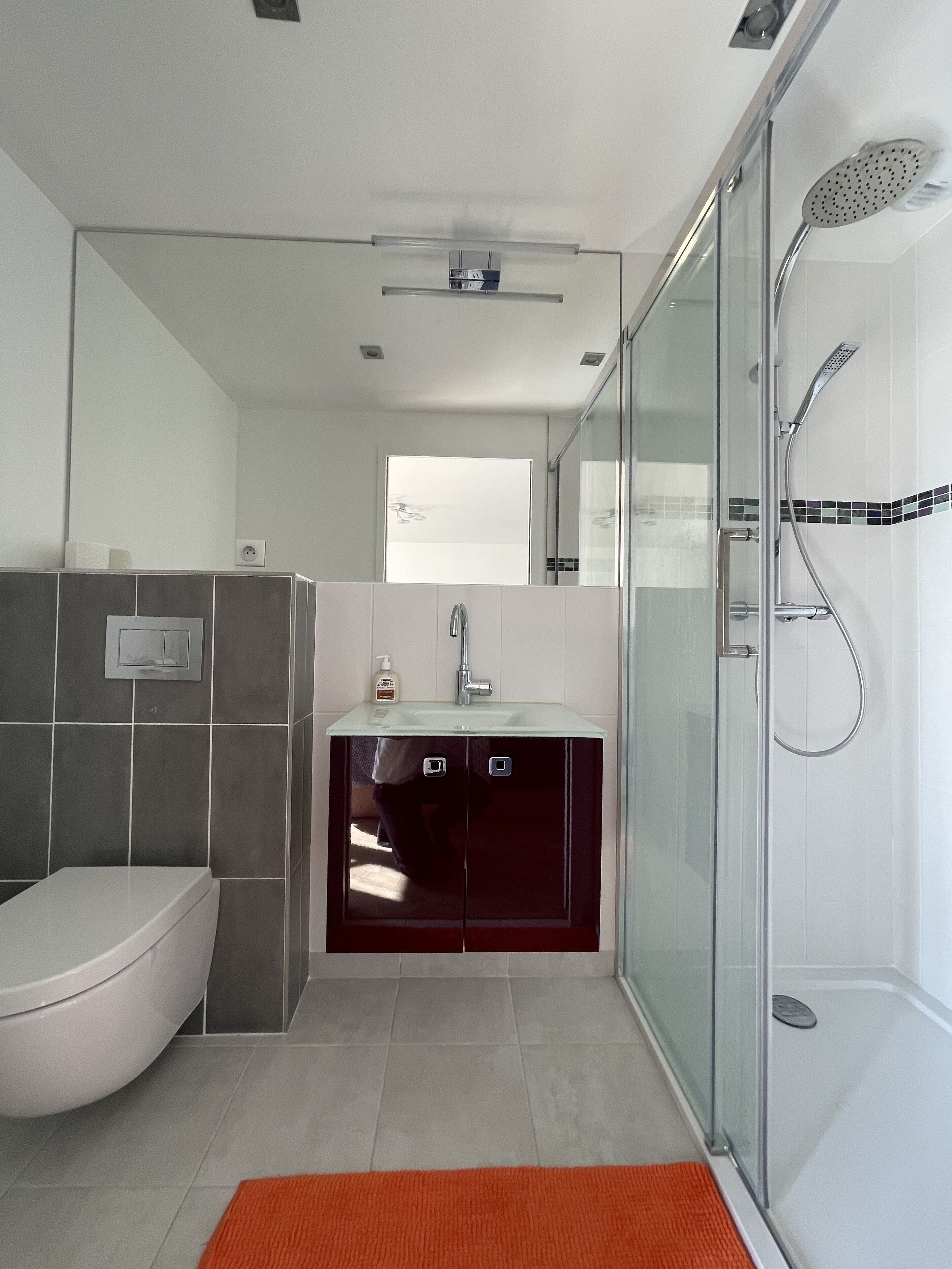 A modern bathroom with a glass shower enclosure, a toilet, and a vanity with a mirror.