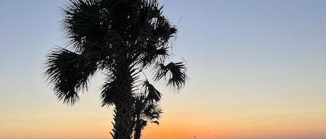 Beach nearby, sun-loungers, beach towels