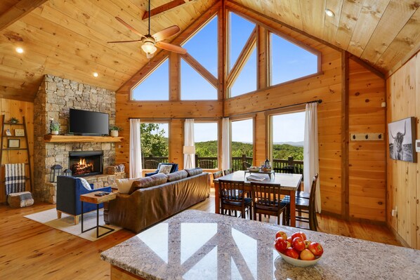 Smart TV, fireplace, DVD player, books