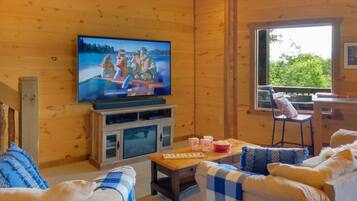 Smart TV, fireplace, DVD player, books