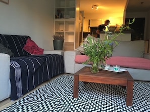 Smart TV, fireplace, DVD player