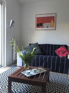 Smart-TV, Kamin, DVD-Player