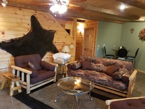 TV, fireplace, DVD player, books