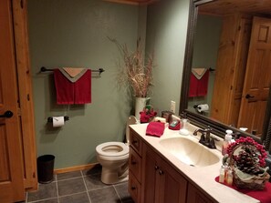 Une salle de bain équipée de toilettes, d’un lavabo, d’un miroir et d’une plante en pot.