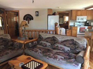 TV, fireplace, DVD player, books