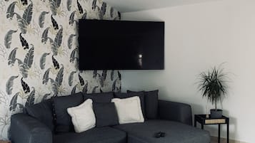 Smart TV, fireplace, books