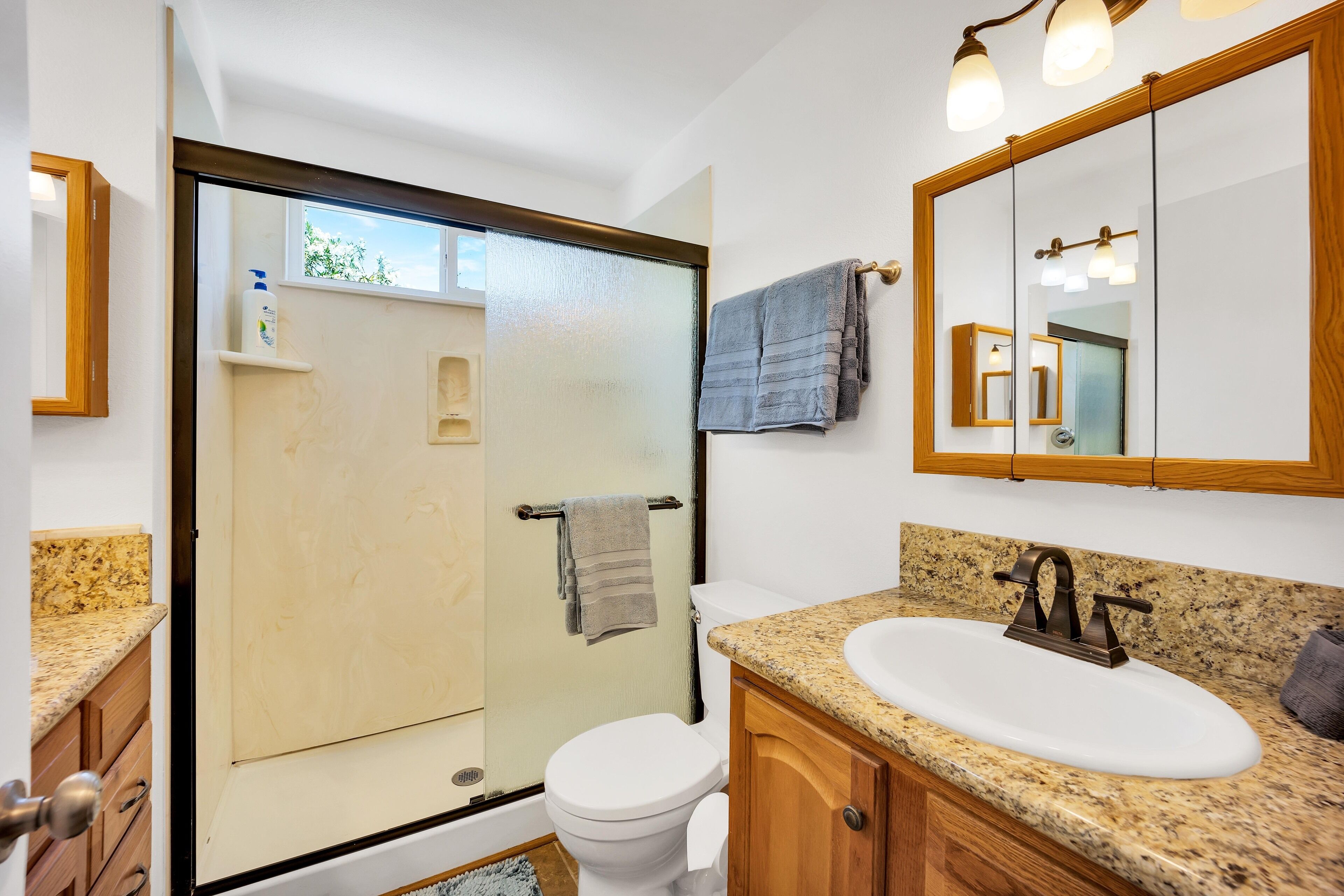 A bathroom with a glass-enclosed shower, a white toilet, a sink with a granite countertop, and a large mirror.