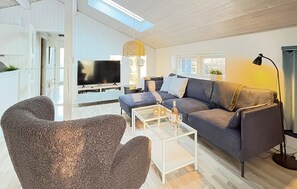 Télévision, cheminée, lecteur de DVD