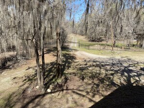 Property grounds - Secluded getaway on Caddo Lake (Karnack)