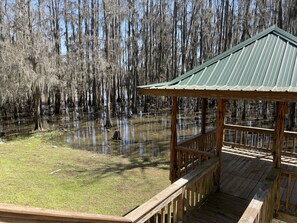 Property grounds - Secluded getaway on Caddo Lake (Karnack)