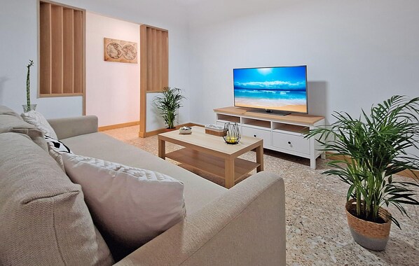 Televisión 