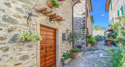 Beautiful home in Caprese Michelangelo