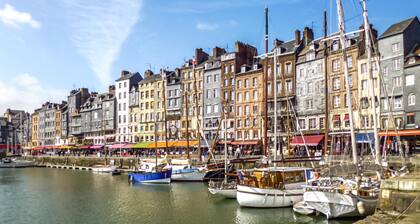 Maison acceptant les animaux Ă Le.