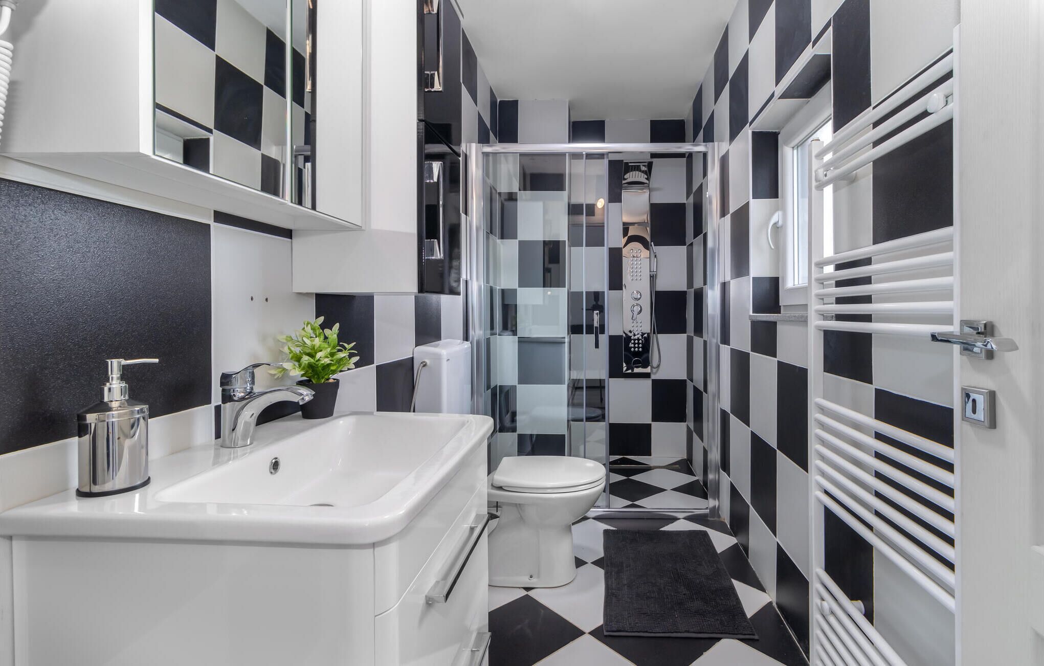 Shower, hair dryer