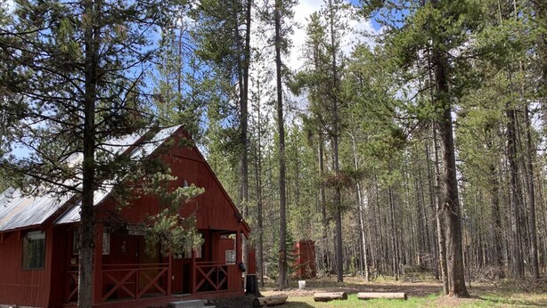 A red cabin with a porch, surrounded by tall pine trees.