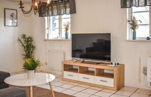 Smart-TV, Kamin