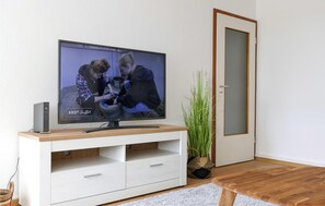 Fernseher